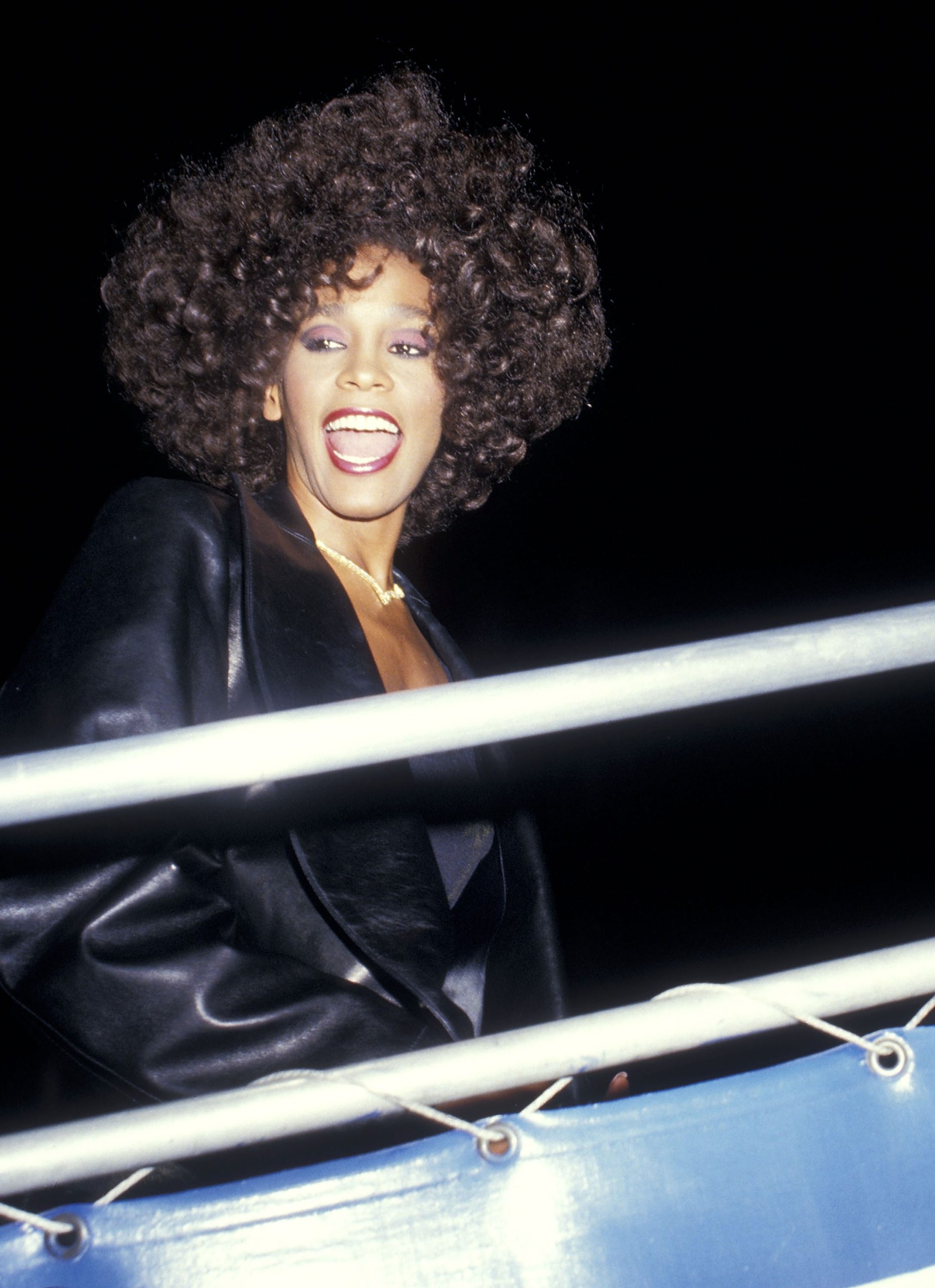 Ron Galella Archive - File Photos 2011