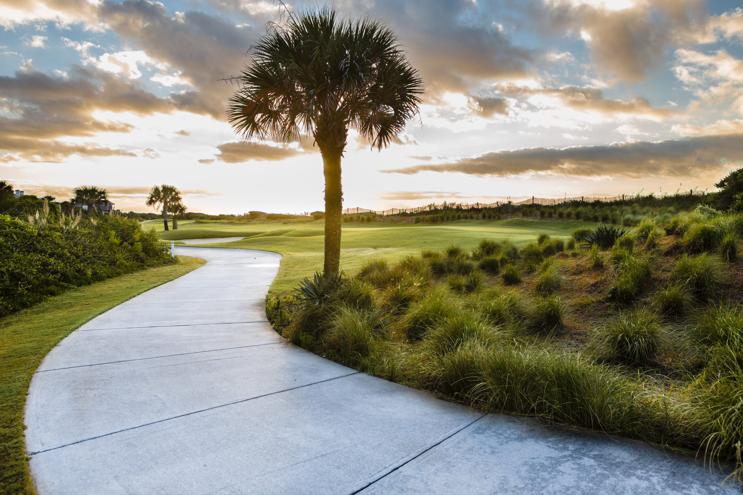 A lush golf course lined with palmetto trees on South Carolina's Kiawah Island. (Photo credit: Eric Sturdivant/ GettyImages)